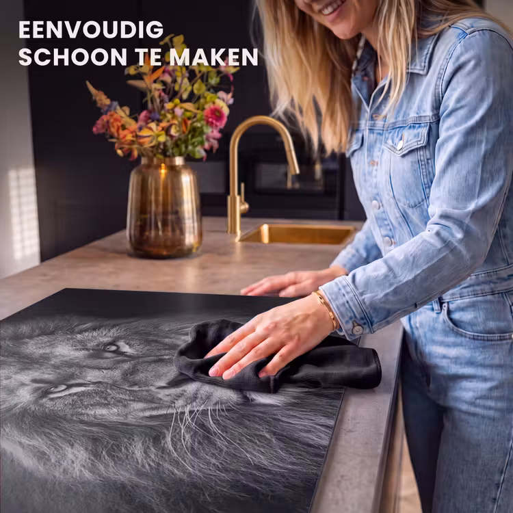 Inductie beschermer - Souvereiniteit in Zwart-Wit — 6