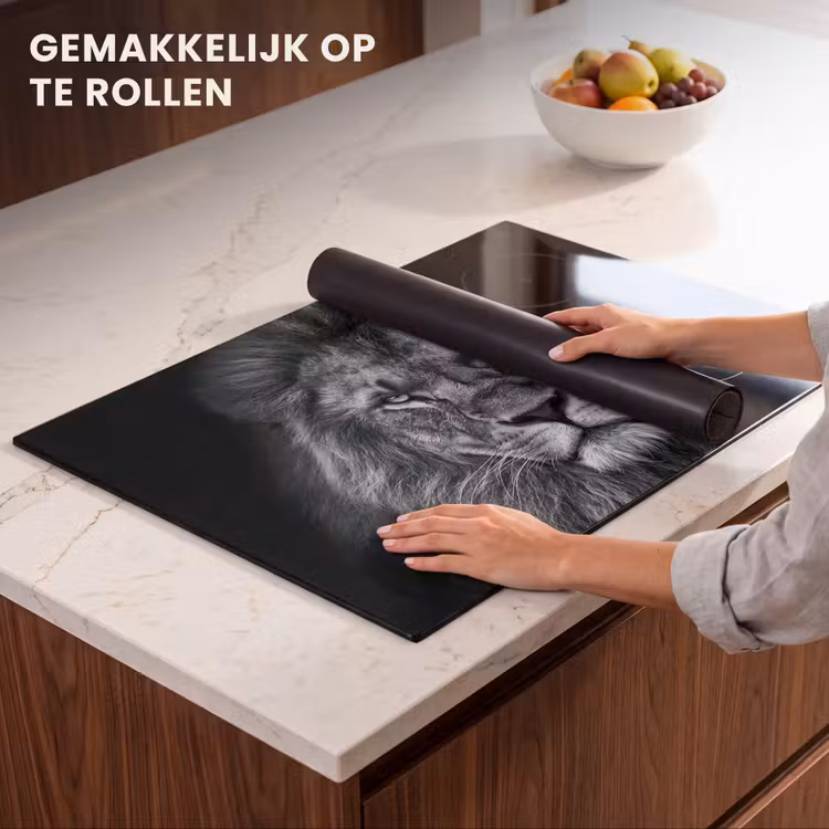 Inductie beschermer - Souvereiniteit in Zwart-Wit — 7