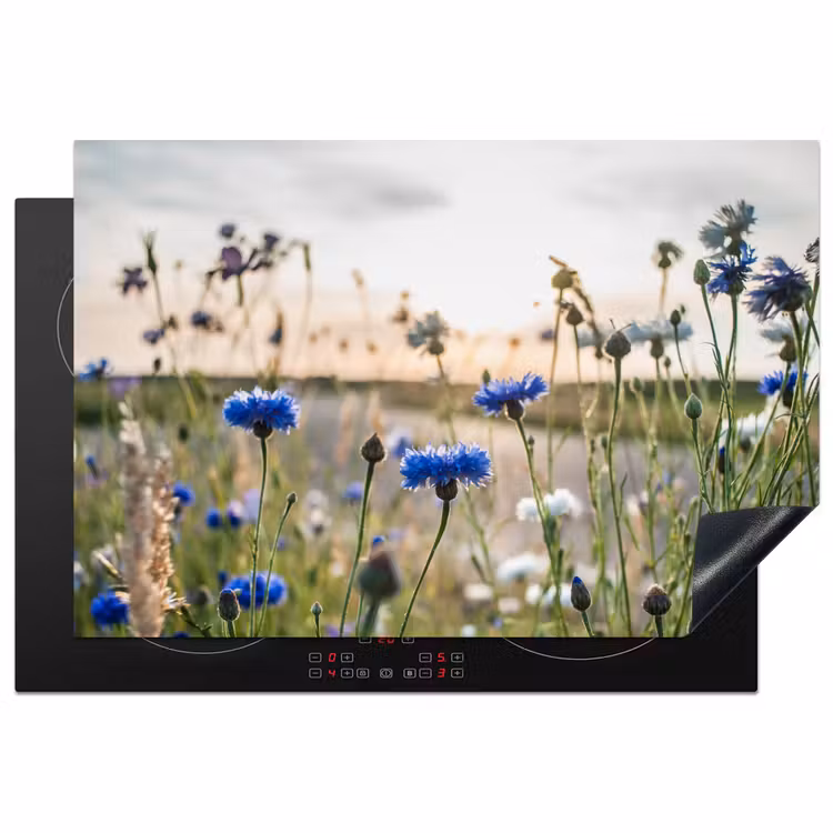 Inductie beschermer - Veld van Rust bij Zonsondergang — 1