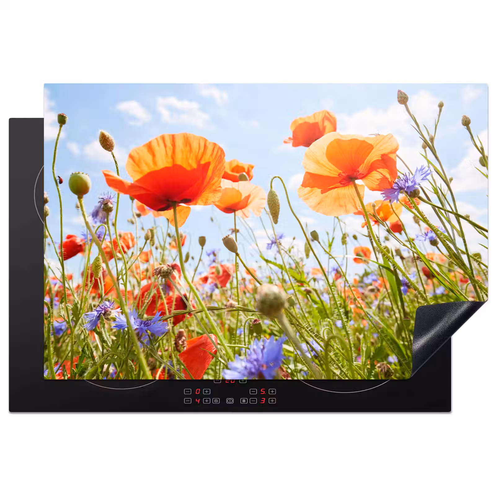 Inductie beschermer - Zomerdans van Klaprozen en Korenbloemen — 1