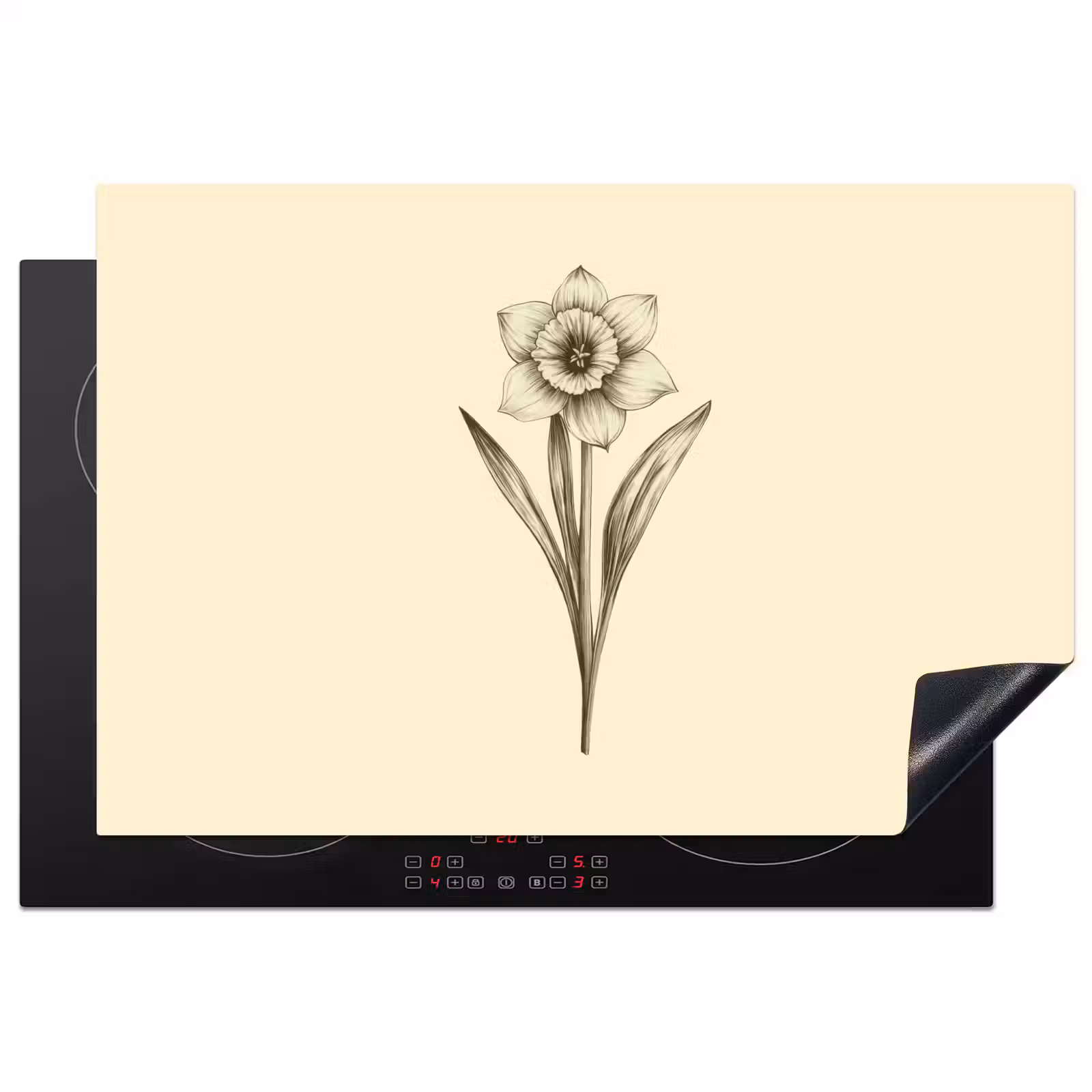 Inductie beschermer - Zwart - Narcis - Illustratie — 1
