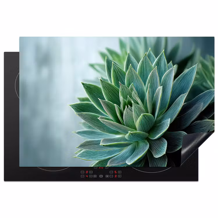 Inductie beschermer - Vetplant - Bladeren - Groen - Wazig — 1