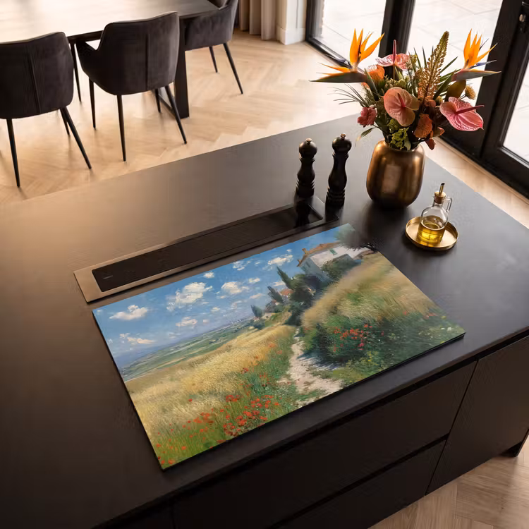 Inductie beschermer - Zandpad - Huis - Bomen - Grasveld — 5