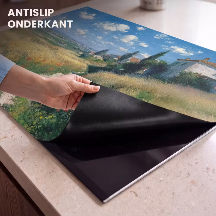 Inductie beschermer - Zandpad - Huis - Bomen - Grasveld — 9