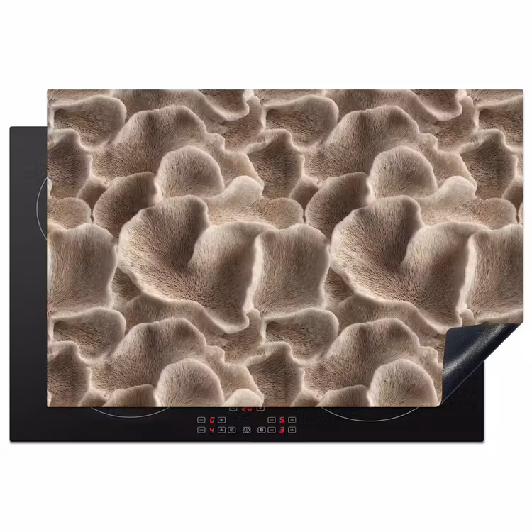 Inductie beschermer - Waaiervorm - Beige - Vezel textuur — 1