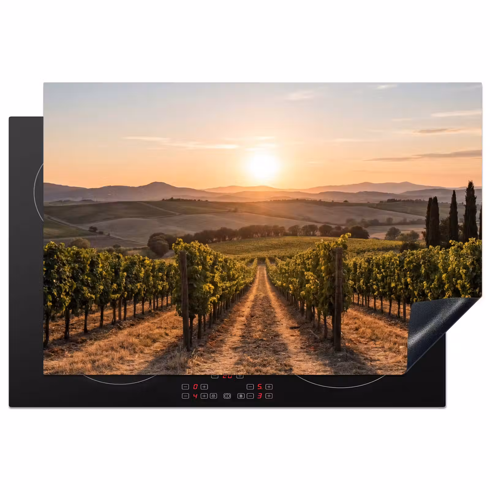 Inductie beschermer - Wijngaard - Zonsondergang - Landschap — 1