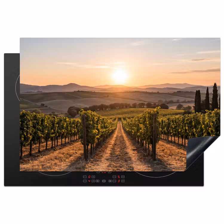 Inductie beschermer - Wijngaard - Zonsondergang - Landschap — 1