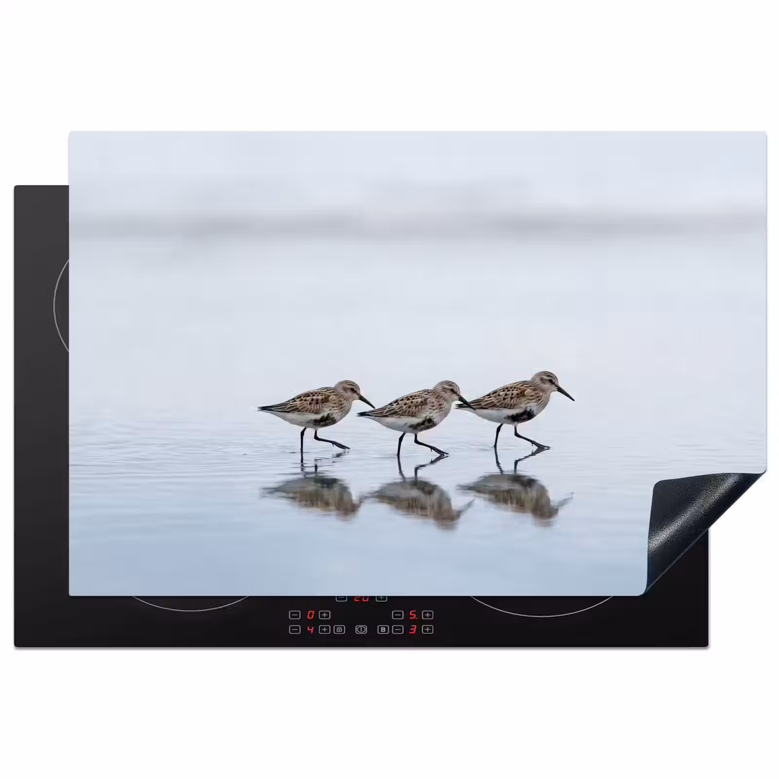 Inductie beschermer - Vogels - Water - Grijs — 1