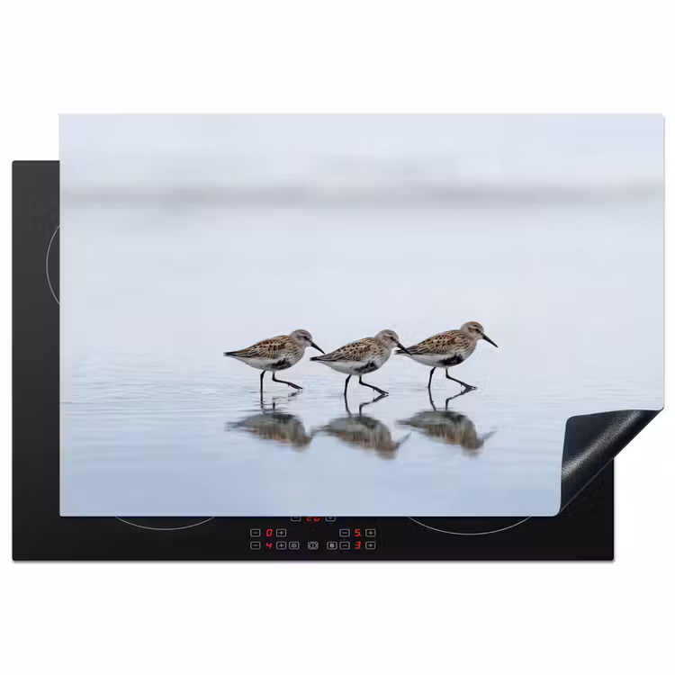 Inductie beschermer - Vogels - Water - Grijs — 1