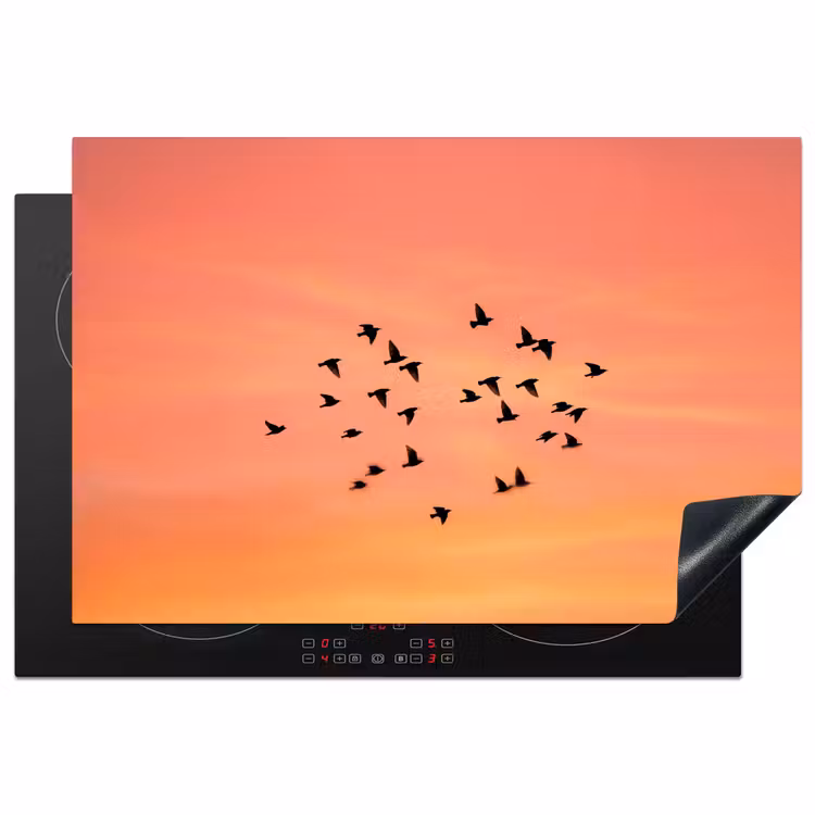 Inductie beschermer - Zwerm - Vogels - Oranje — 1