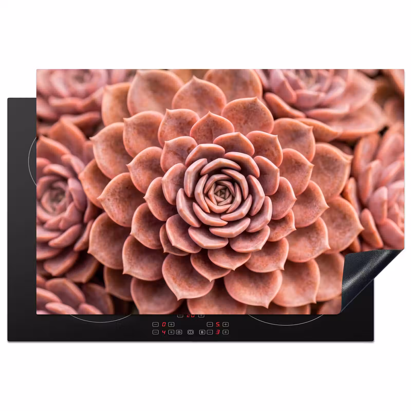 Inductie beschermer - Vetplant - Organisch - Roze — 1