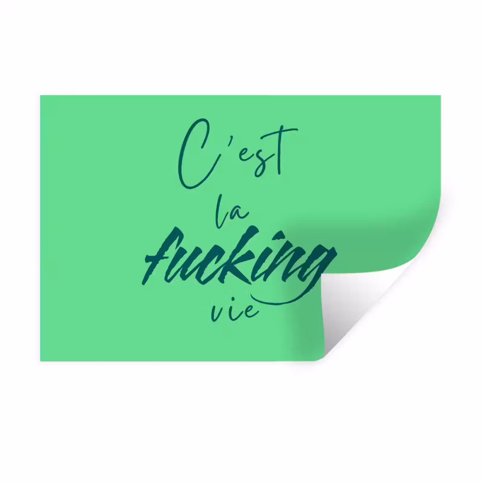 Muursticker - c'est la fucking vie - Groen - Penseelstijl — 1