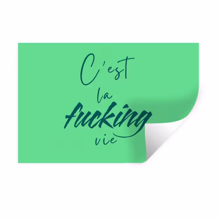 Muursticker - c'est la fucking vie - Groen - Penseelstijl — 1