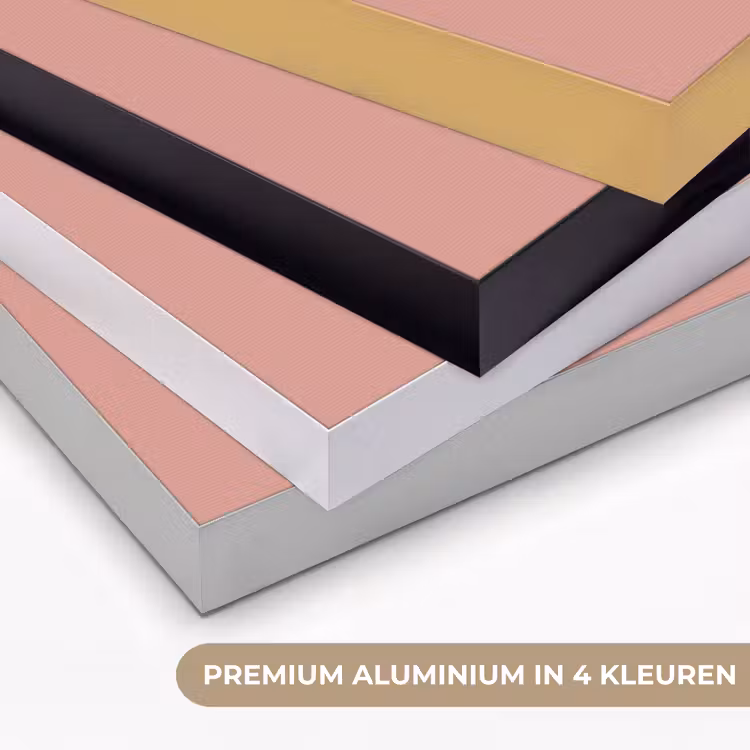 Art Frame - Muted - Salmon - Koraal — 2