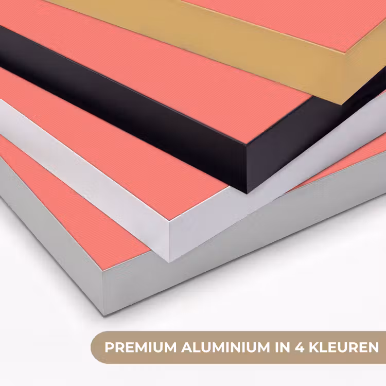 Art Frame - Coral - Punch - Koraal — 2