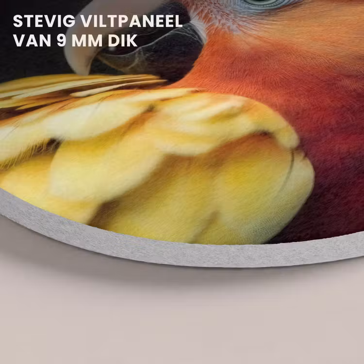 Akoestisch schilderij rond - Close-up - Papegaai - Veren - Oranje — 5