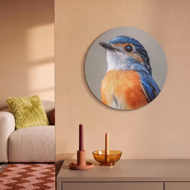Akoestisch schilderij rond - Kleurrijk - Vogeltje - Veren - Blauw — 2