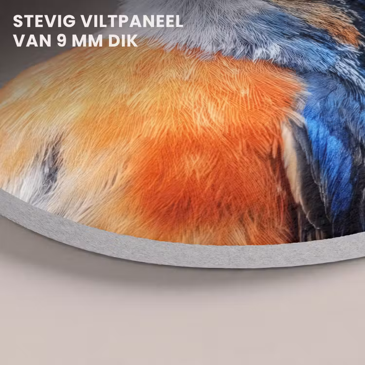 Akoestisch schilderij rond - Kleurrijk - Vogeltje - Veren - Blauw — 5