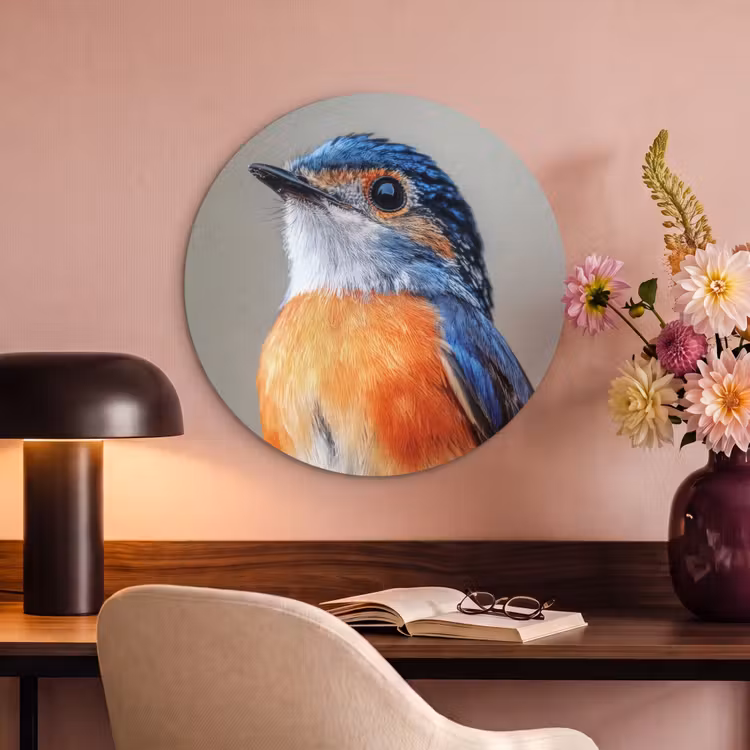 Akoestisch schilderij rond - Kleurrijk - Vogeltje - Veren - Blauw — 6
