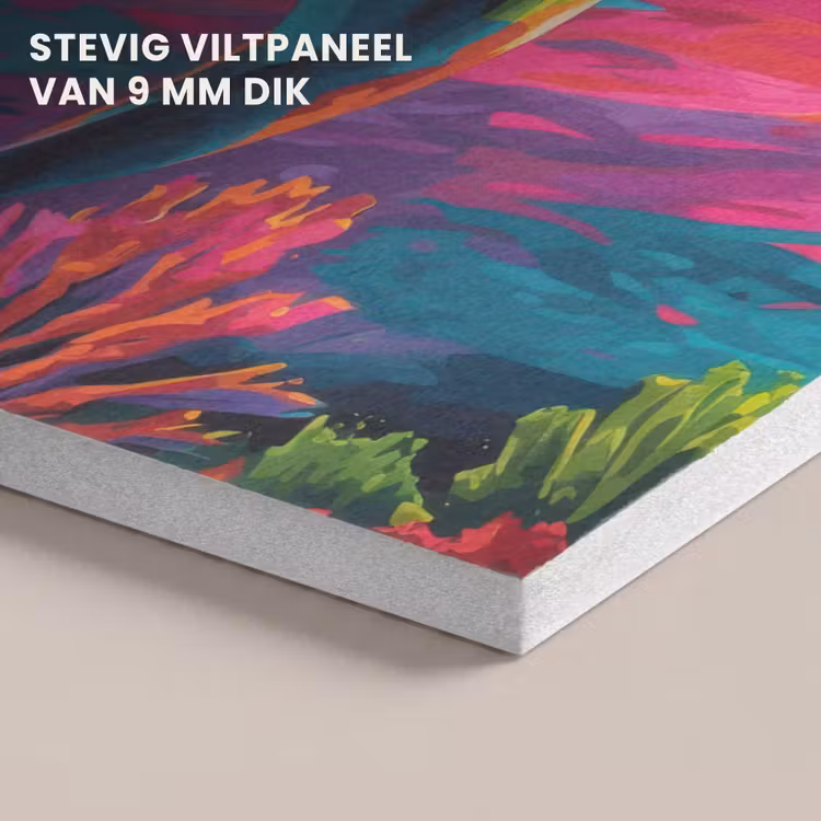 Akoestisch schilderij - Dolfijn - Kleurrijk - Oceaan - Koraal — 5