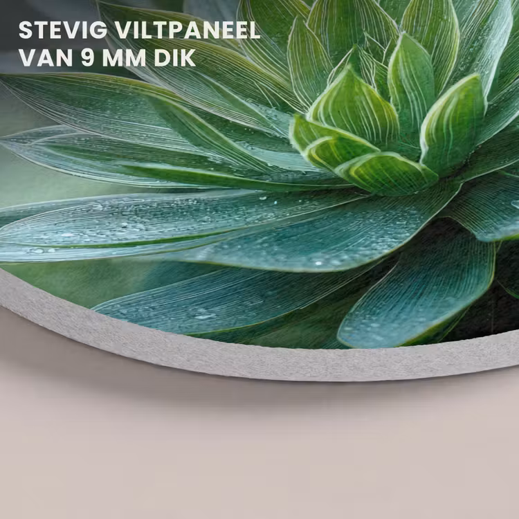 Akoestisch schilderij rond - Blad - Plant - Groen - Textuur — 5