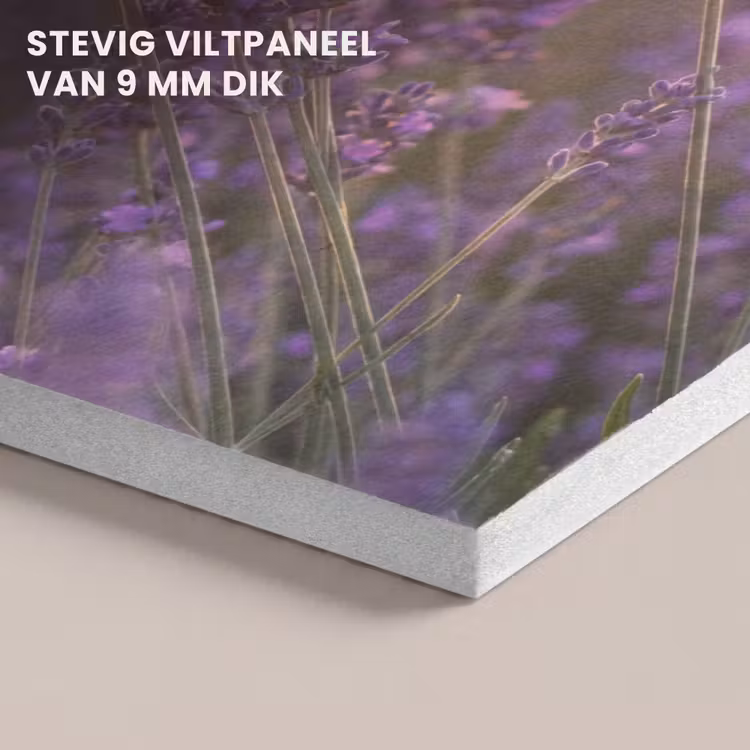 Akoestisch schilderij - Lavendel - Paars - Zonlicht — 5