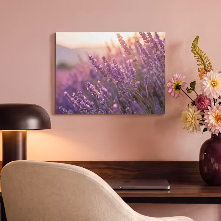 Akoestisch schilderij - Lavendel - Paars - Zonlicht — 6