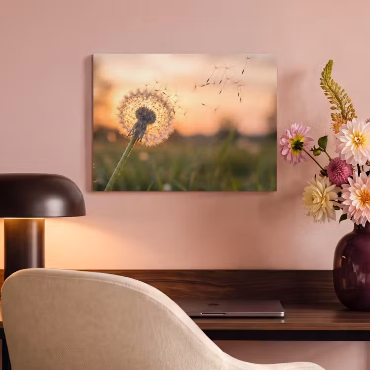 Akoestisch schilderij - Paardenbloem - Zonsondergang - Veld — 6