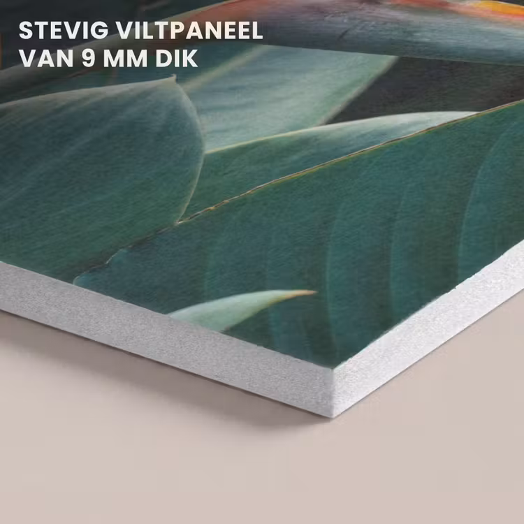 Akoestisch schilderij - Paradijsvogel - Bloem - Exotisch — 5