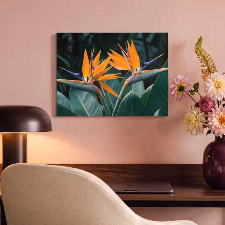 Akoestisch schilderij - Paradijsvogel - Bloem - Exotisch — 6