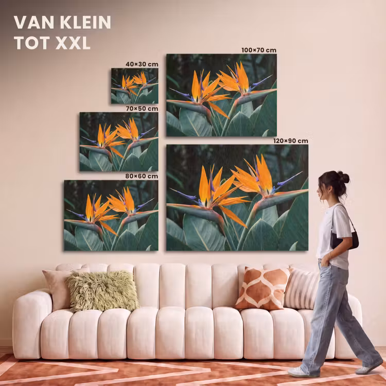 Akoestisch schilderij - Paradijsvogel - Bloem - Exotisch — 7