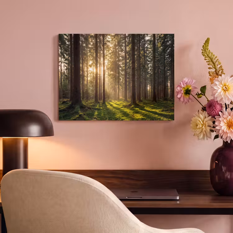 Akoestisch schilderij - Bos - Gras - Zonlicht — 6