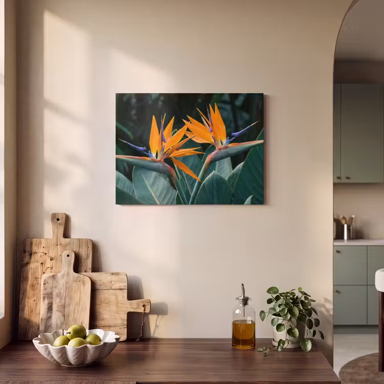 Akoestisch schilderij - Paradijsvogel - Bloem - Exotisch — 4