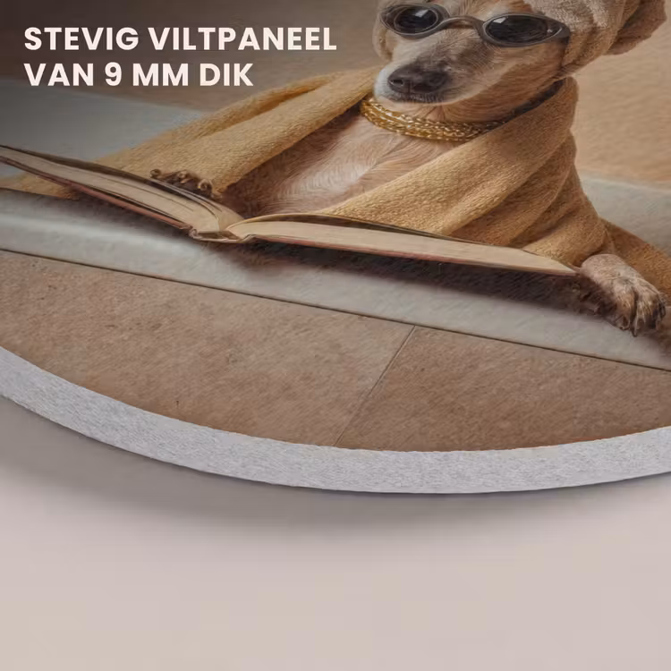 Akoestisch schilderij rond - Hond in Bad met Boek — 5
