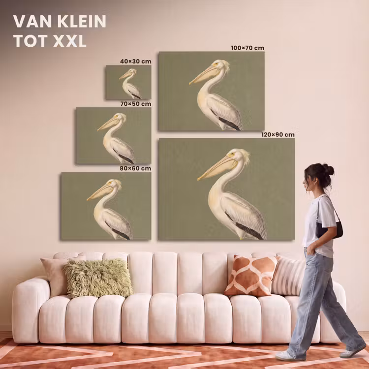 Akoestisch schilderij - Pelikaan - Wit - Vogel - Klassiek - Natuur — 7