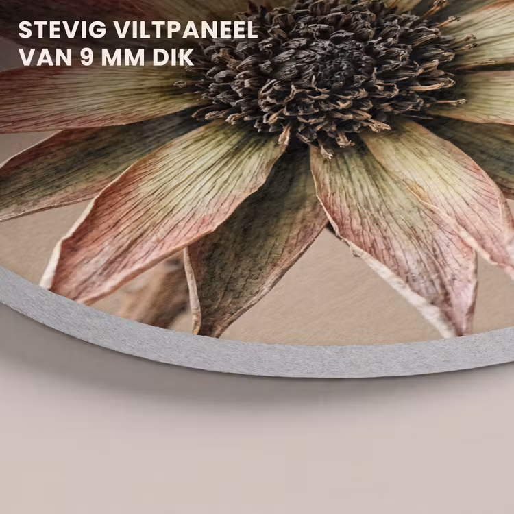 Akoestisch schilderij rond - Droogbloem - Protea - Vintage - Beige - Rustiek — 5
