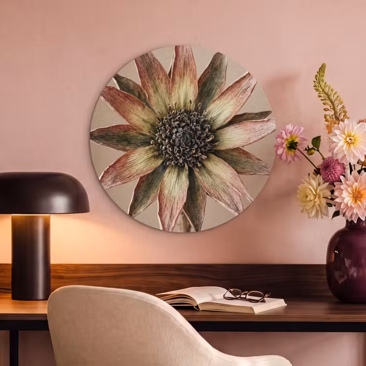 Akoestisch schilderij rond - Droogbloem - Protea - Vintage - Beige - Rustiek — 6