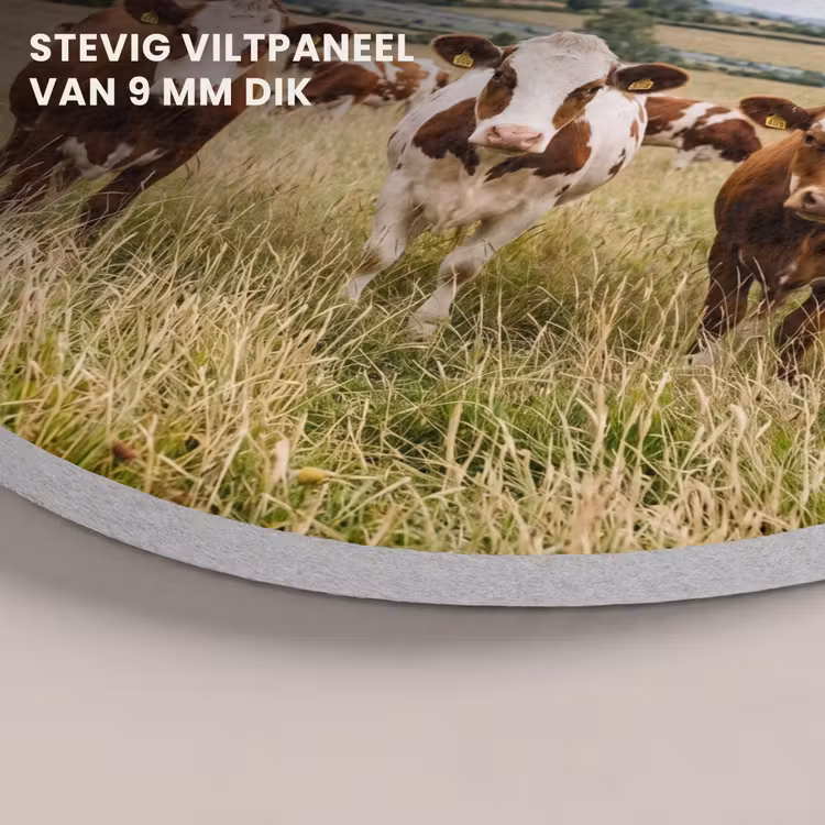 Akoestisch schilderij rond - Koeien - Portret - Weide - Boerderij - Nieuwsgierig — 5