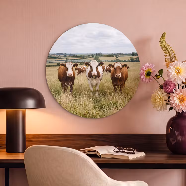 Akoestisch schilderij rond - Koeien - Portret - Weide - Boerderij - Nieuwsgierig — 6