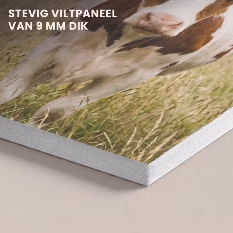 Akoestisch schilderij - Koeien - Portret - Weide - Boerderij - Nieuwsgierig — 5
