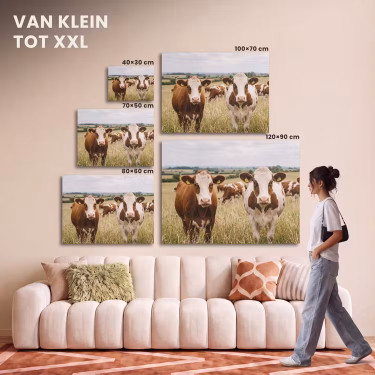 Akoestisch schilderij - Koeien - Portret - Weide - Boerderij - Nieuwsgierig — 7