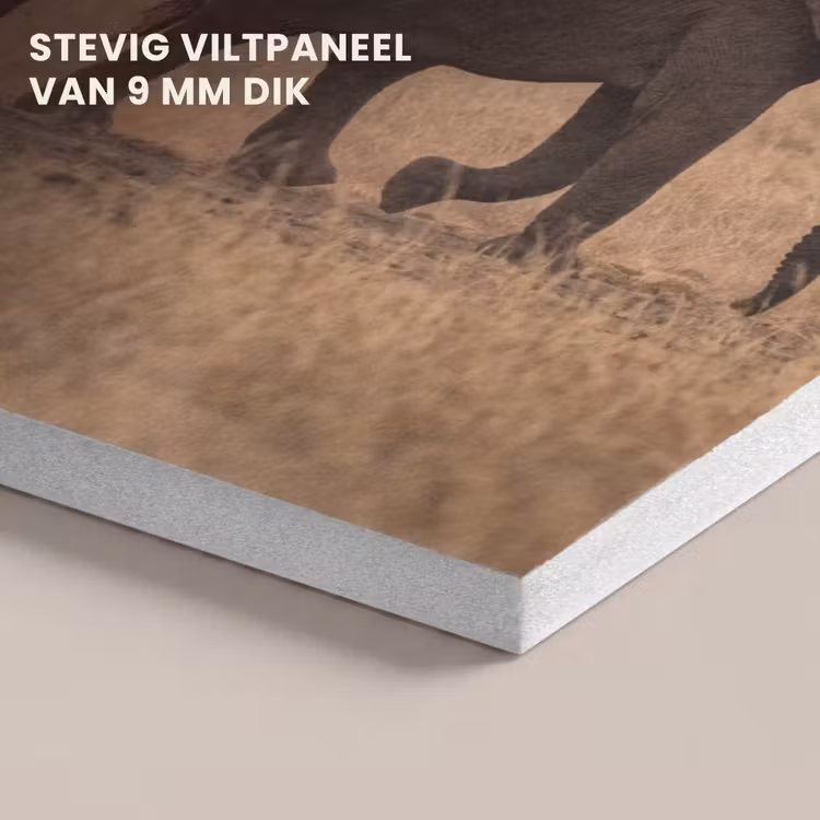 Akoestisch schilderij - Olifanten - Savanne - Zonsondergang - Afrika - Warm — 5
