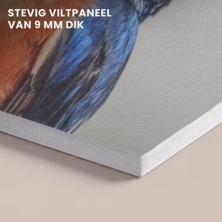 Akoestisch schilderij - Kleurrijk - Vogeltje - Veren - Blauw — 5