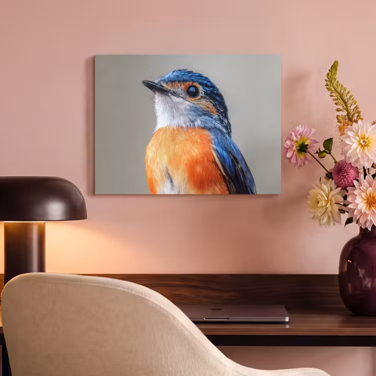Akoestisch schilderij - Kleurrijk - Vogeltje - Veren - Blauw — 6
