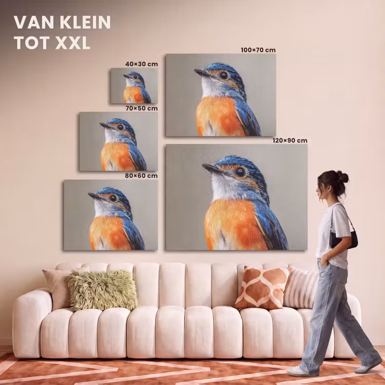 Akoestisch schilderij - Kleurrijk - Vogeltje - Veren - Blauw — 7