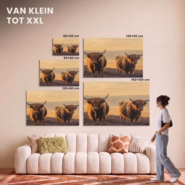 Akoestisch schilderij - Schotse hooglanders - Heide - Landschap - Dieren — 7