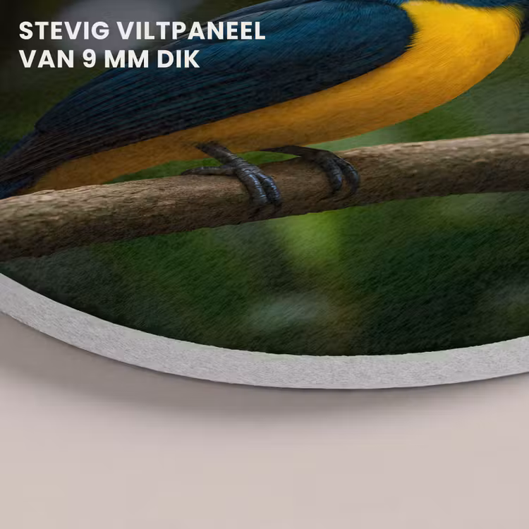 Akoestisch schilderij rond - Vogel - Tak - Geel - Bladeren — 5