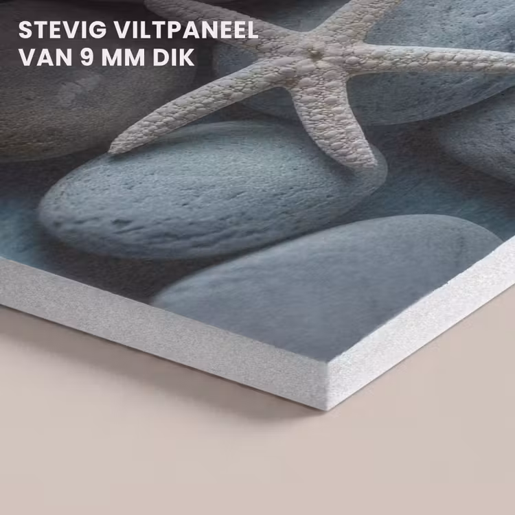 Akoestisch schilderij - Zeesterren - Stenen - Wit — 5