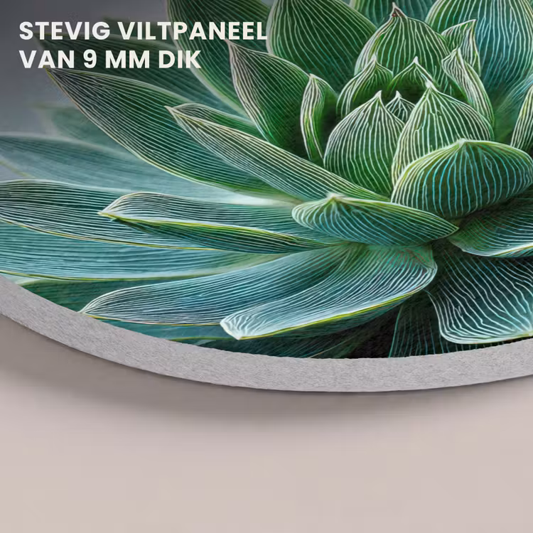 Akoestisch schilderij rond - Vetplant - Bladeren - Groen - Wazig — 5