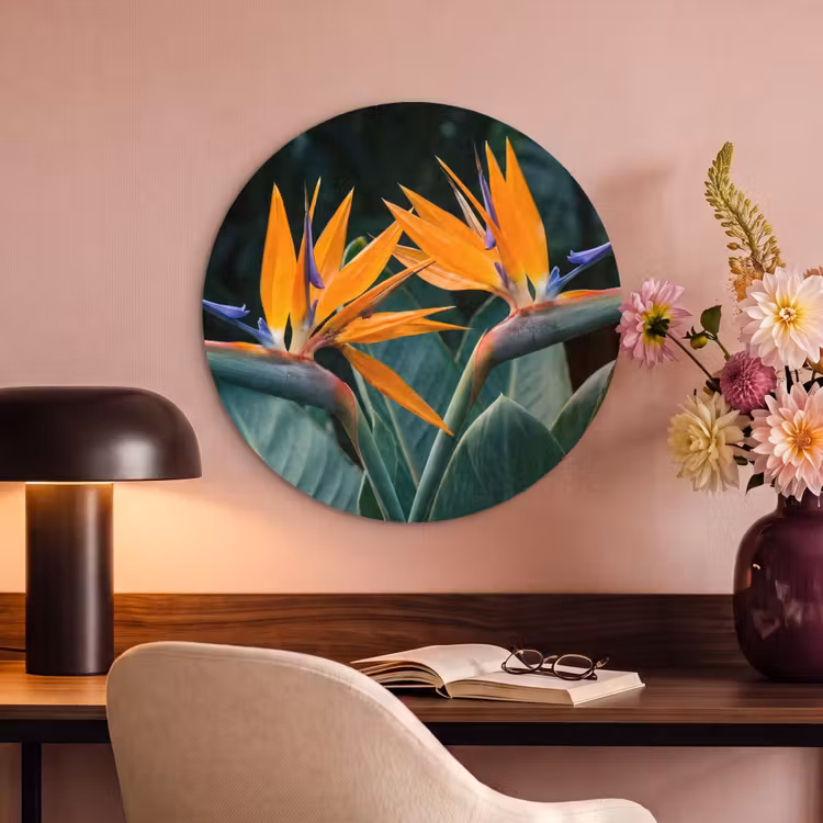 Akoestisch schilderij rond - Paradijsvogel - Bloem - Exotisch — 6
